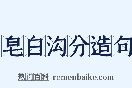 皂白沟分造句是什么意思的图片